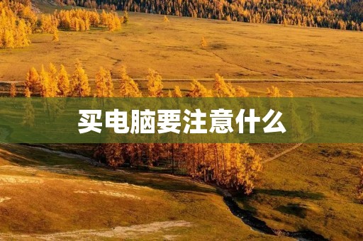 买电脑要注意什么 买电脑要注意什么