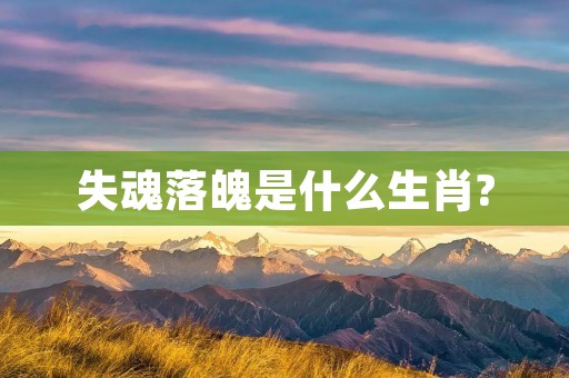 失魂落魄是什么生肖?
