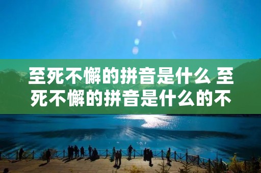 至死不懈的拼音是什么 至死不懈的拼音是什么的不是第几声