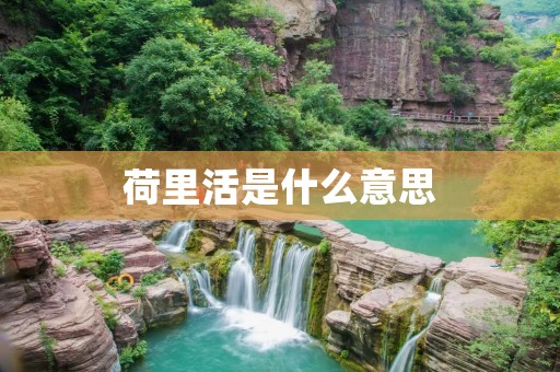 荷里活是什么意思