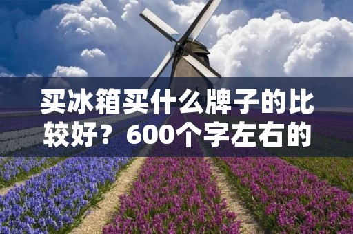 买冰箱买什么牌子的比较好?600个字左右的详细描述 买冰箱买什么牌子的比较好?600个字左右的详细描述