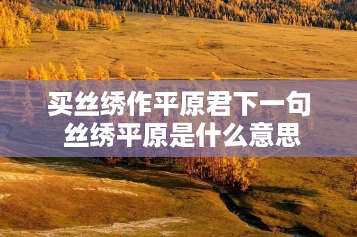 买丝绣作平原君下一句 丝绣平原是什么意思