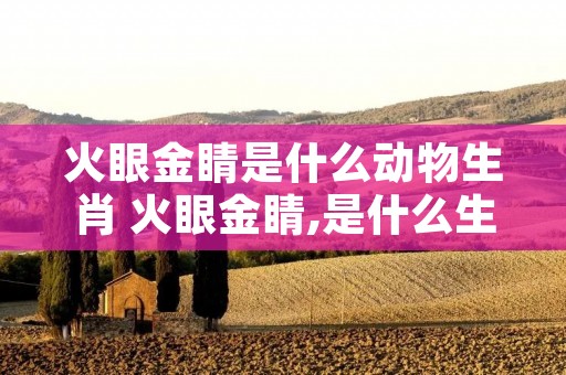 火眼金睛是什么动物生肖 火眼金睛,是什么生肖