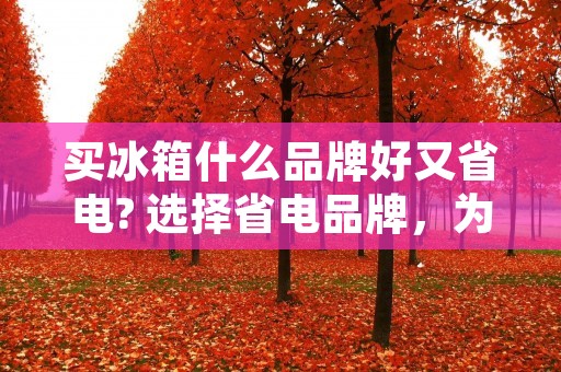 买冰箱什么品牌好又省电? 选择省电品牌,为您节约能源 买冰箱什么品牌好又省电? 选择省电品牌,为您节约能源