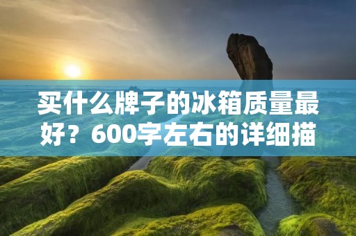 买什么牌子的冰箱质量最好？600字左右的详细描述