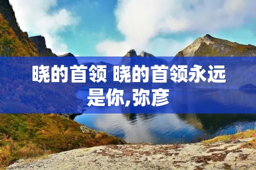 晓的首领 晓的首领永远是你,弥彦