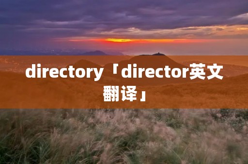 directory「director英文翻译」