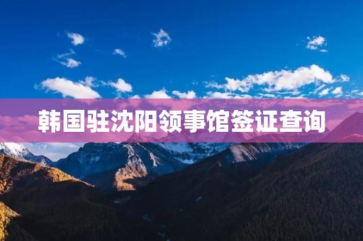韩国驻沈阳领事馆签证查询：详尽解读及办理流程