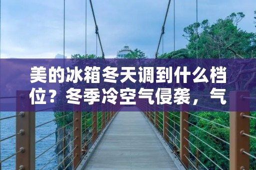 美的冰箱冬天调到什么档位?冬季冷空气侵袭,气温骤降,为了保持冰箱内食物的新鲜和冷藏效果,我们需要适当调整冰箱的档位。下面就为大家介绍美的冰箱在冬天应该调到什么档位,以及一些调节的注意事项。 美的冰箱冬天调到什么档位?冬季冷空气侵袭,气温骤降,为了保持冰箱内食物的新鲜和冷藏效果,我们需要适当调整冰箱的档位。下面就为大家介绍美的冰箱在冬天应该调到什么档位,以及一些调节的注意事项。