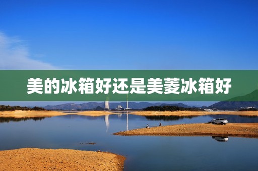美的冰箱好还是美菱冰箱好：详细比较与评析