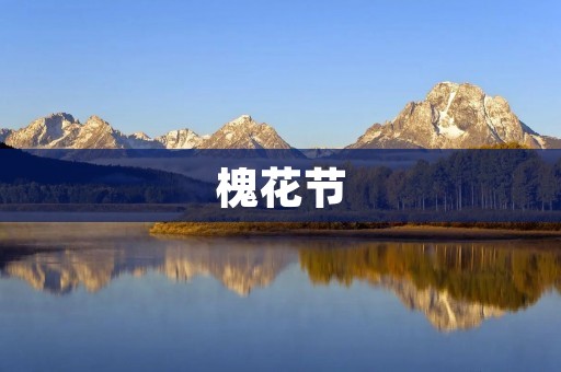 槐花节:欢快盛会,品味花香之乐