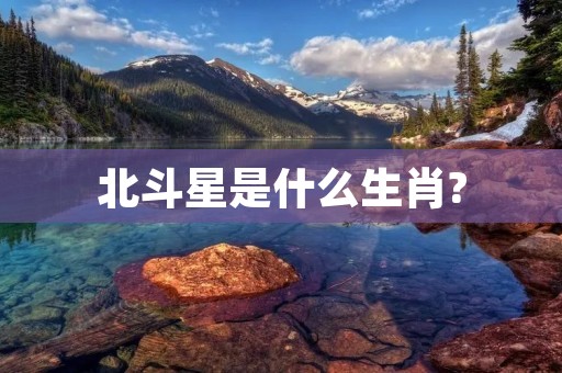 北斗星是什么生肖?