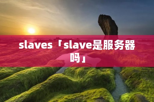 slaves「slave是服务器吗」 slaves「slave是服务器吗」