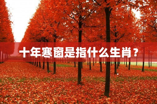 十年寒窗是指什么生肖? 十年寒窗是指什么生肖?