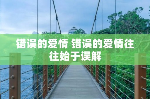 错误的爱情 错误的爱情往往始于误解 错误的爱情 错误的爱情往往始于误解