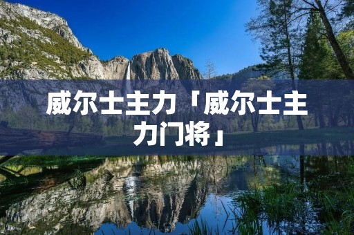 威尔士主力「威尔士主力门将」
