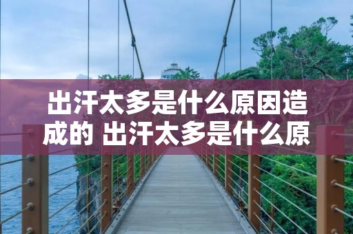 出汗太多是什么原因造成的 出汗太多是什么原因造成的 新闻 出汗太多是什么原因造成的 出汗太多是什么原因造成的 新闻