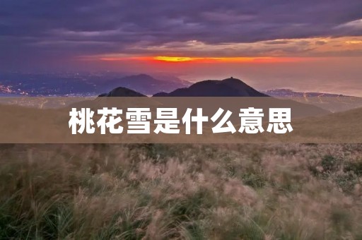 桃花雪是什么意思