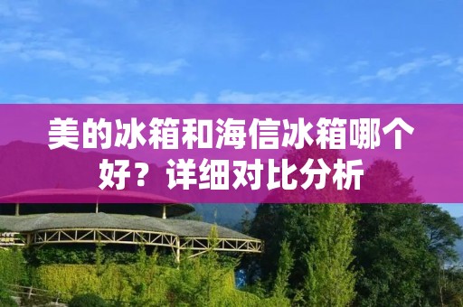 美的冰箱和海信冰箱哪个好？详细对比分析