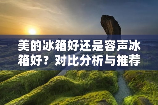 美的冰箱好还是容声冰箱好？对比分析与推荐