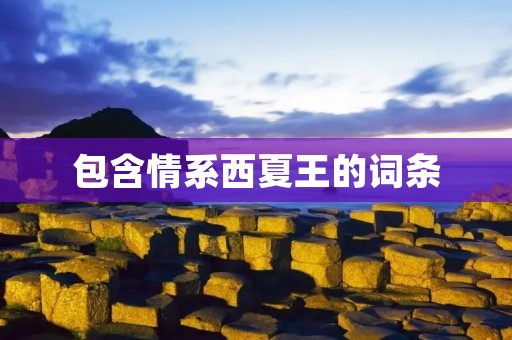 包含情系西夏王的词条