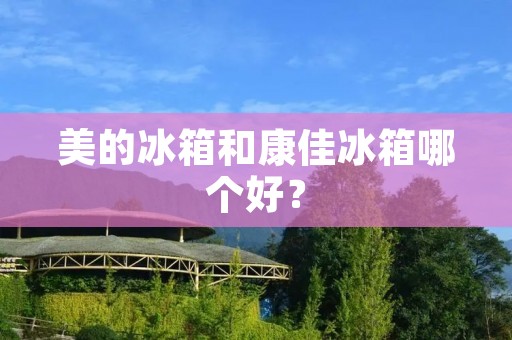 美的冰箱和康佳冰箱哪个好? 美的冰箱和康佳冰箱哪个好?