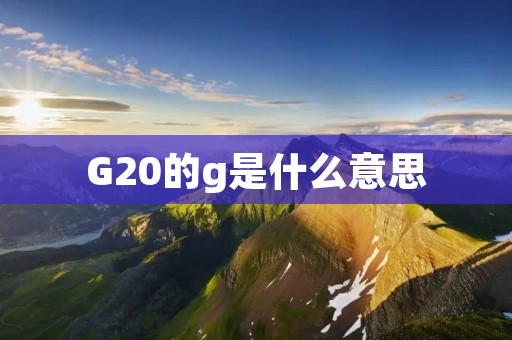 G20的g是什么意思