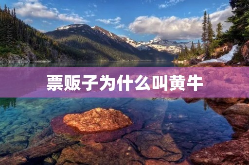 票贩子为什么叫黄牛