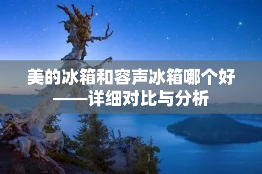 美的冰箱和容声冰箱哪个好——详细对比与分析