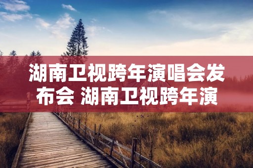 湖南卫视跨年演唱会发布会 湖南卫视跨年演唱会20202021发布会