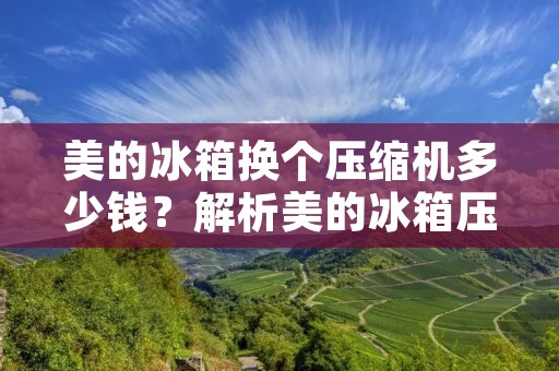 美的冰箱换个压缩机多少钱?解析美的冰箱压缩机更换费用及相关因素 美的冰箱换个压缩机多少钱?解析美的冰箱压缩机更换费用及相关因素