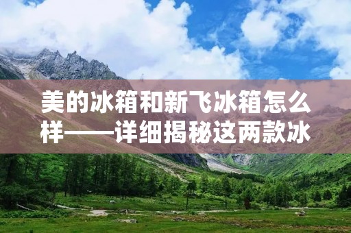 美的冰箱和新飞冰箱怎么样——详细揭秘这两款冰箱的优劣 美的冰箱和新飞冰箱怎么样——详细揭秘这两款冰箱的优劣