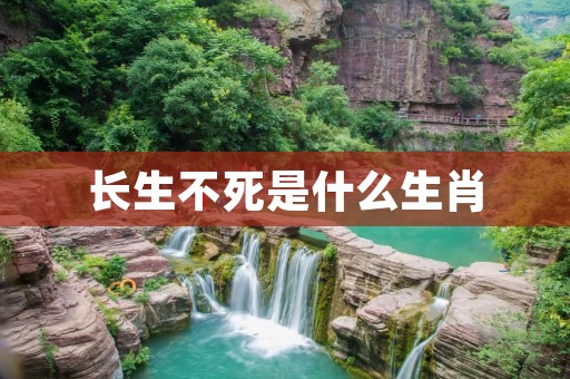 长生不死是什么生肖