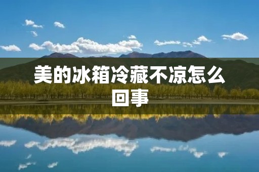 美的冰箱冷藏不凉怎么回事:原因分析与解决方法 美的冰箱冷藏不凉怎么回事:原因分析与解决方法