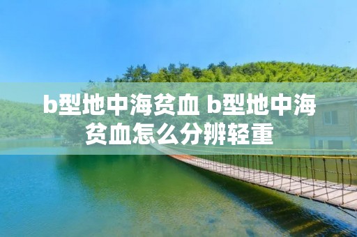 b型地中海贫血 b型地中海贫血怎么分辨轻重