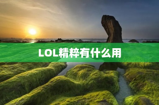 LOL精粹有什么用