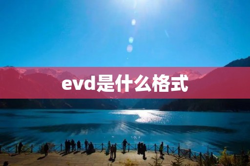 evd是什么格式 evd是什么格式