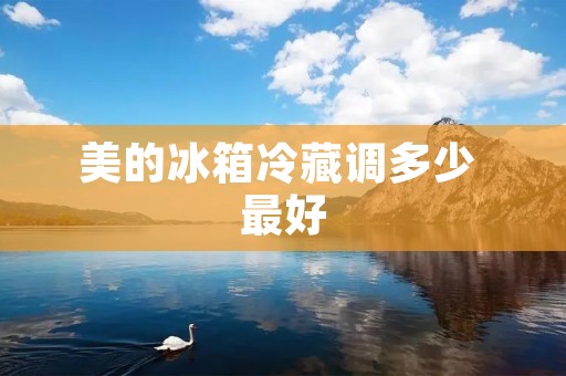 美的冰箱冷藏调多少 最好:详细解读 美的冰箱冷藏调多少 最好:详细解读
