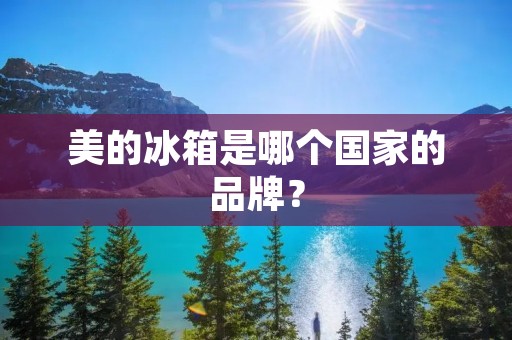 美的冰箱是哪个国家的品牌？