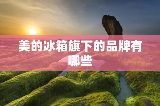 美的冰箱旗下的品牌有哪些