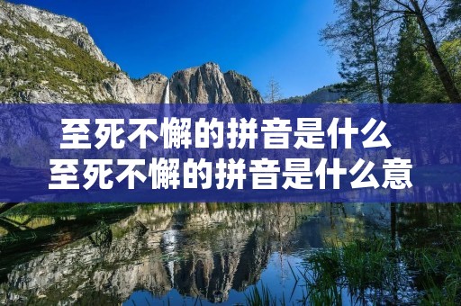 至死不懈的拼音是什么 至死不懈的拼音是什么意思