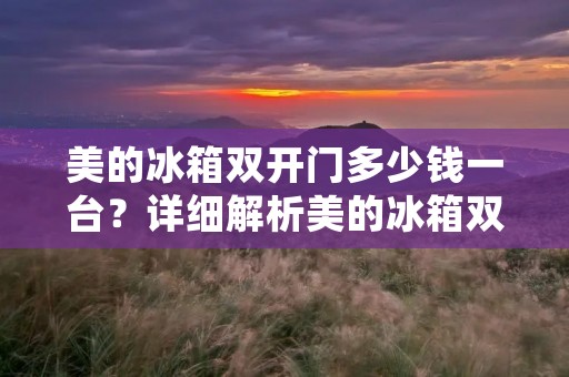 美的冰箱**门多少钱一台？详细解析美的冰箱**门价格