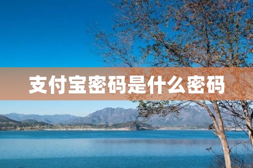支付宝密码是什么密码