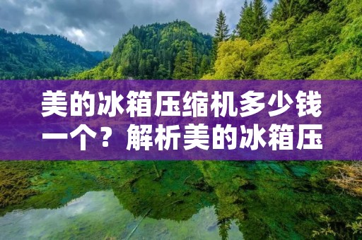 美的冰箱压缩机多少钱一个?解析美的冰箱压缩机价格及其相关因素 美的冰箱压缩机多少钱一个?解析美的冰箱压缩机价格及其相关因素
