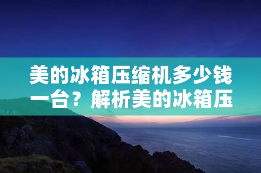 美的冰箱压缩机多少钱一台?解析美的冰箱压缩机价格及其性能特点 美的冰箱压缩机多少钱一台?解析美的冰箱压缩机价格及其性能特点
