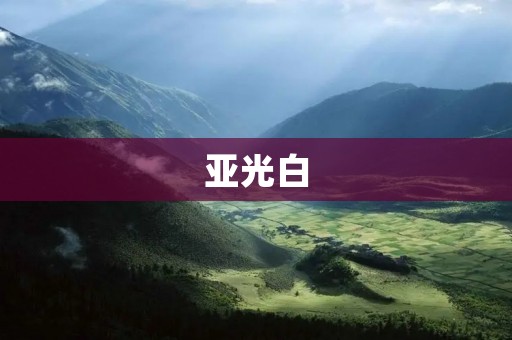 亚光白：探索雅致与实用的完美结合