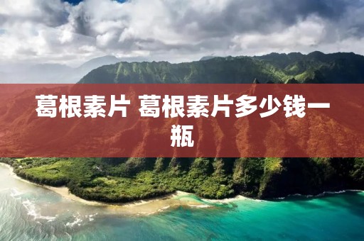 葛根素片 葛根素片多少钱一瓶