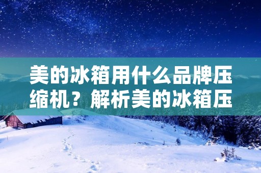 美的冰箱用什么品牌压缩机?解析美的冰箱压缩机的品牌选择与性能优势 美的冰箱用什么品牌压缩机?解析美的冰箱压缩机的品牌选择与性能优势