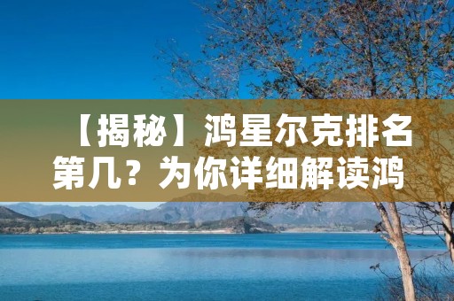 【揭秘】鸿星尔克排名第几？为你详细解读鸿星尔克在市场中的地位和竞争优势
