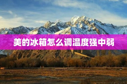 美的冰箱怎么调温度强中弱:解析调温度的技巧与方法 美的冰箱怎么调温度强中弱:解析调温度的技巧与方法